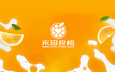 某良橙——资阳LOGO设计